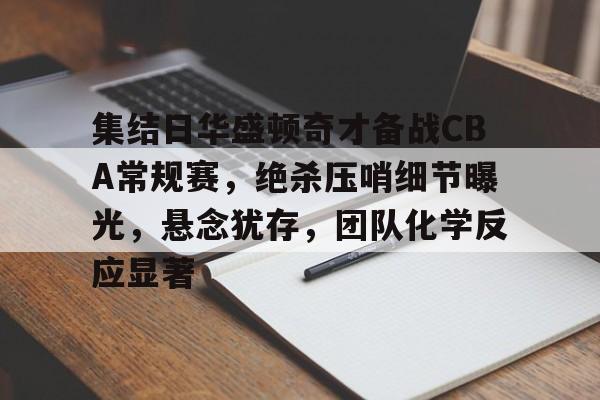 乐动app-集结日华盛顿奇才备战CBA常规赛，绝杀压哨细节曝光，悬念犹存，团队化学反应显著的简单介绍